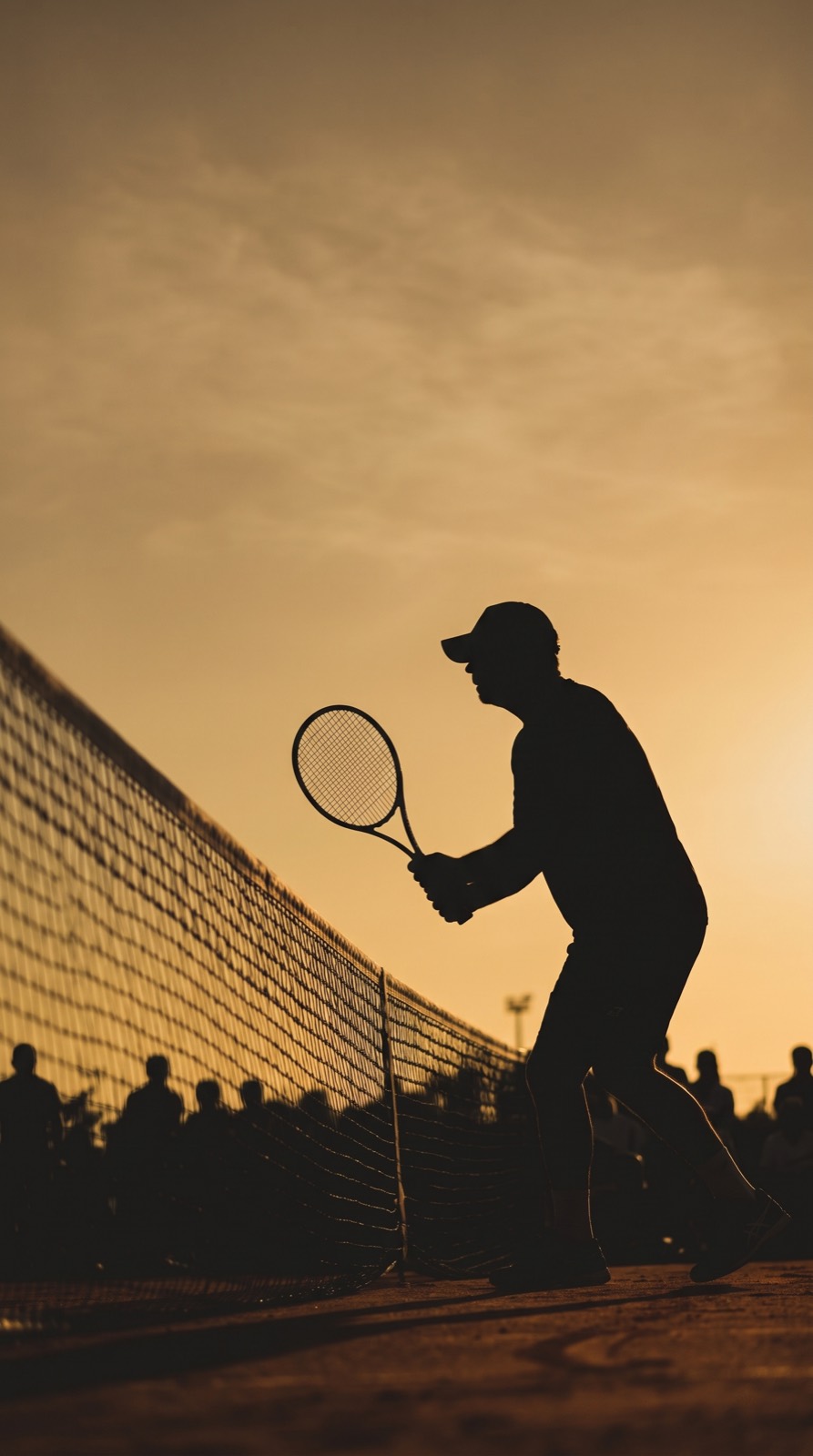 A tennis player silhouetted against the evening sky