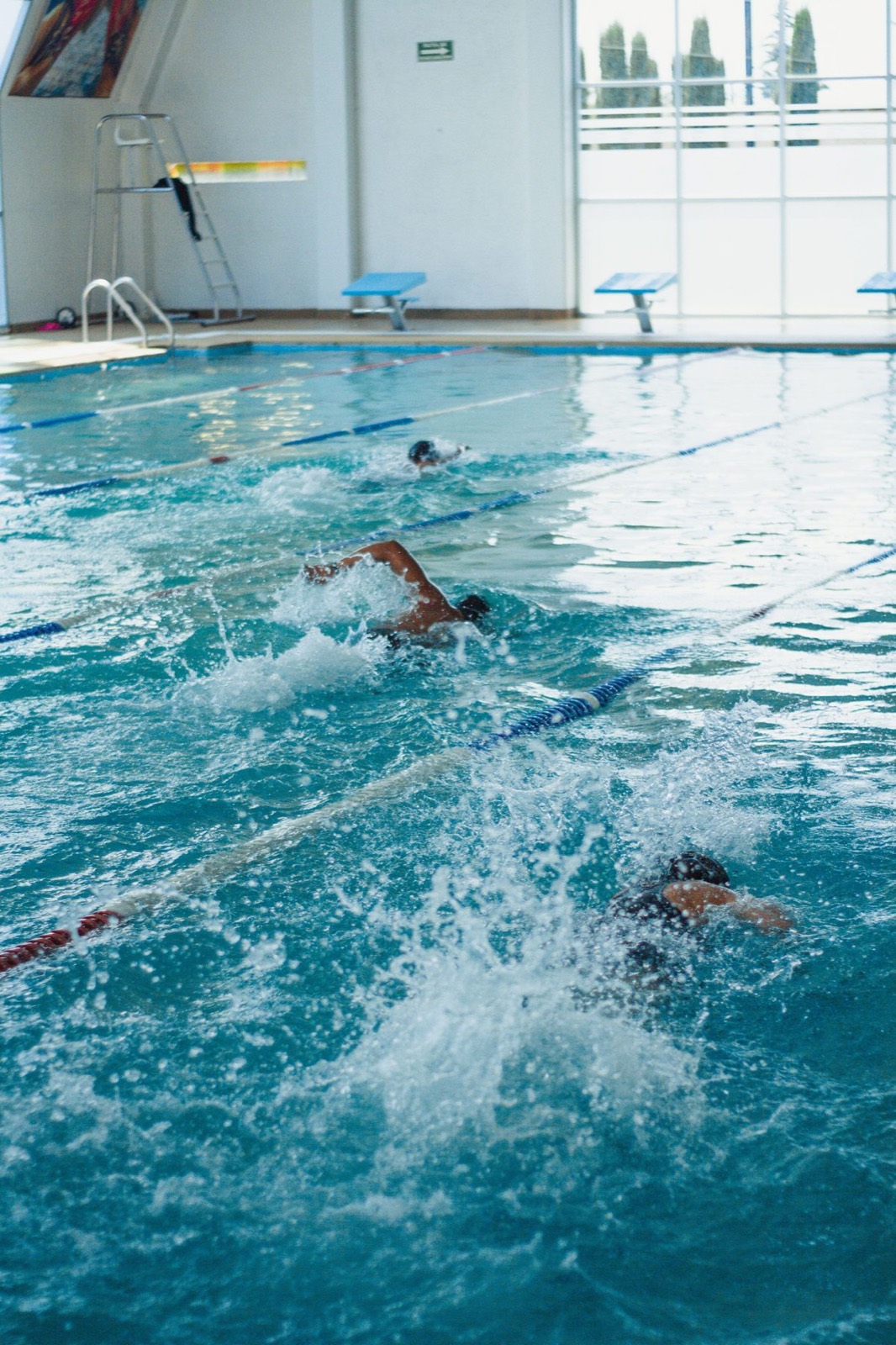 Swimmers training in the lanes of an indoor pool